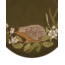Fable England Hedgehog Embroidered Round Jewellery Box in Khaki Suedette