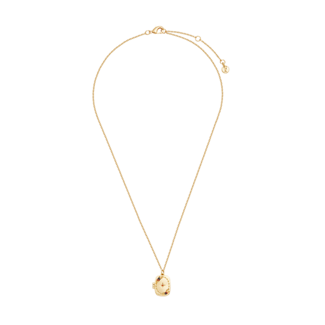 Fable England Orla Hedgerow Locket Necklace