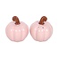 Pink Curly Pumpkin Autumn Salt and Pepper Shakers