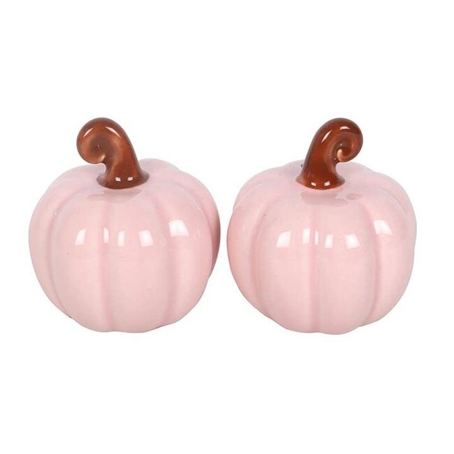 Pink Curly Pumpkin Autumn Salt and Pepper Shakers