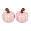 Pink Curly Pumpkin Autumn Salt and Pepper Shakers