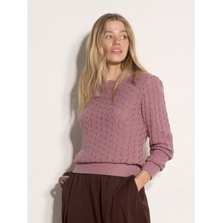 Apricot Pointelle Scallop Neck Jumper