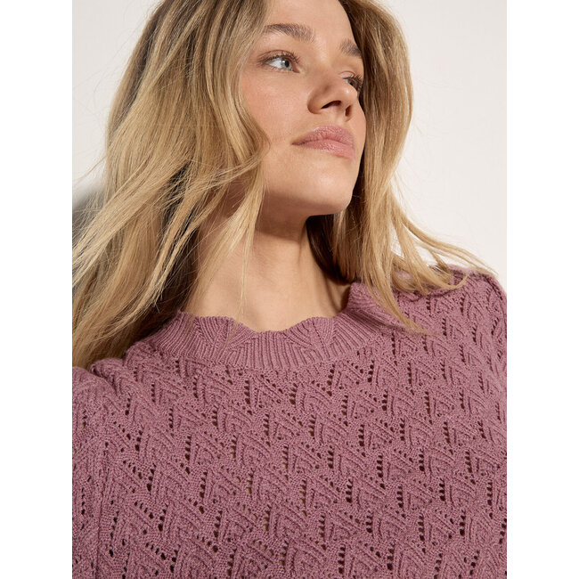 Apricot Pointelle Scallop Neck Jumper
