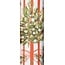 Roll Wrap - 4M - Stephanie Dyment Fir & Floral