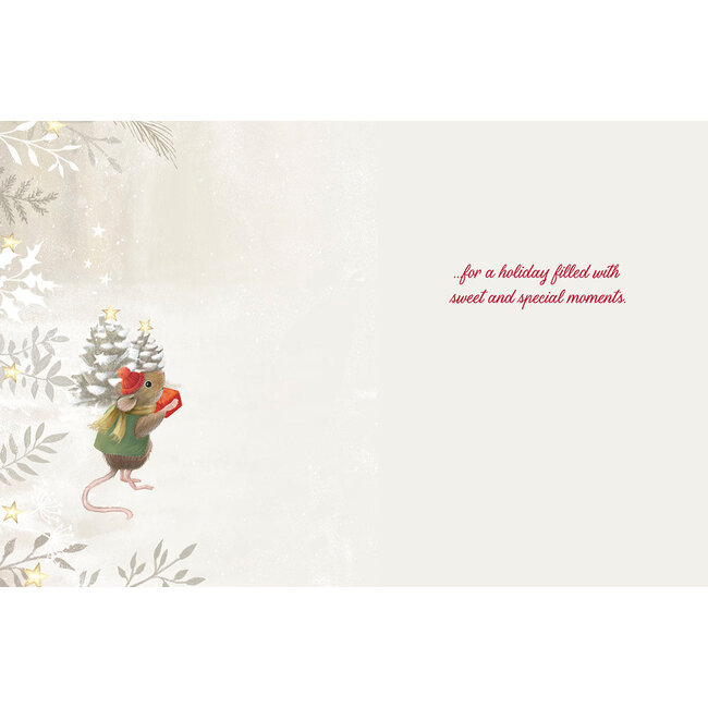 Leanin' Tree Winter Christmas Box