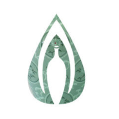 Membership - Individual Plus