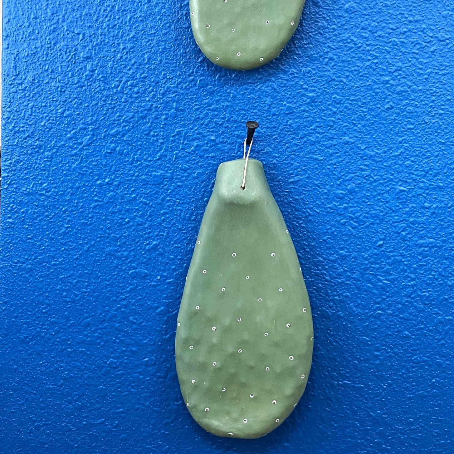 Luke Shalan Cactus Paddle