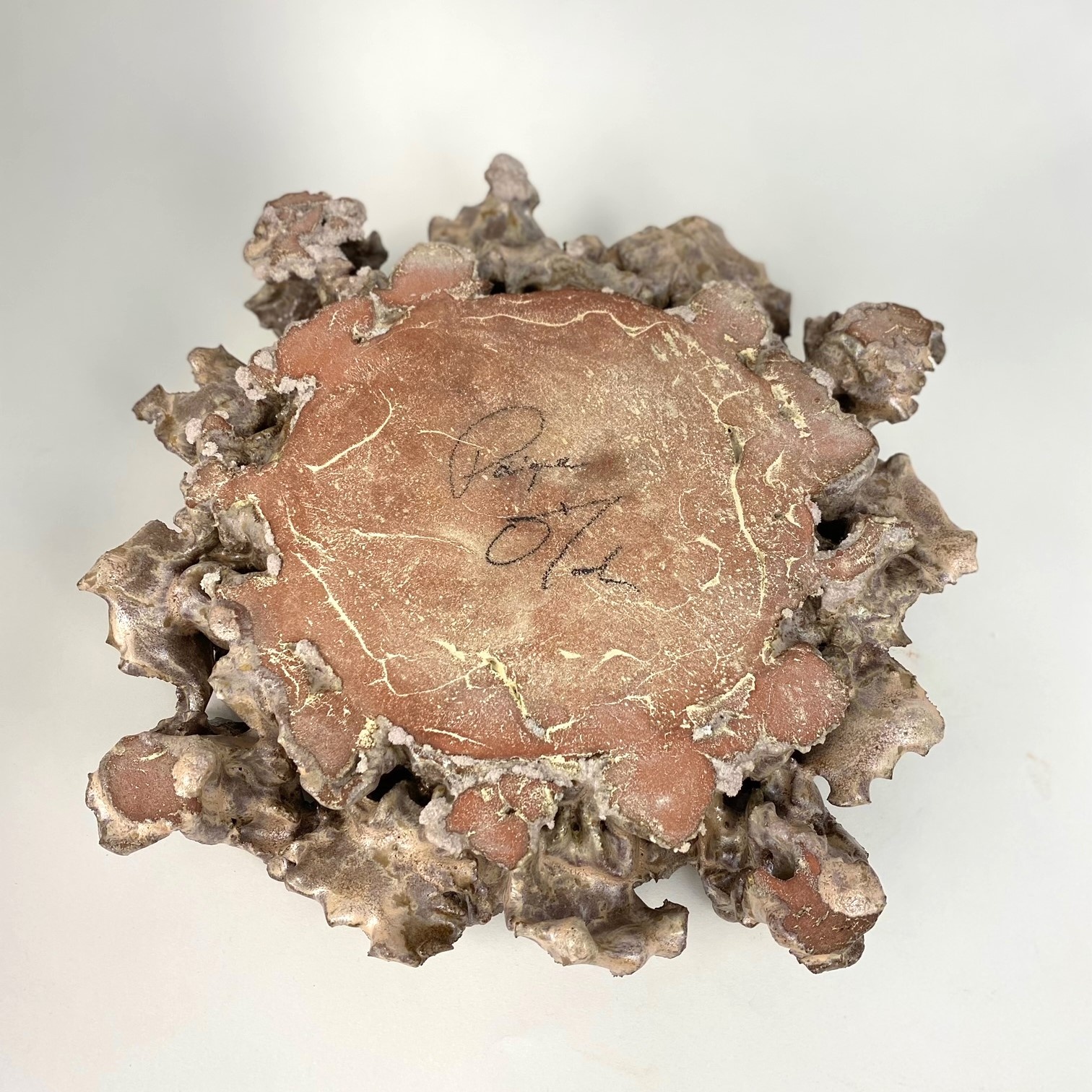 Paige O'Toole Shino Flesh Plate