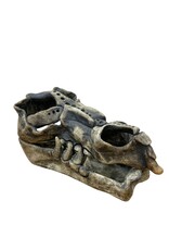 Dana Burlingame Dragon Skull