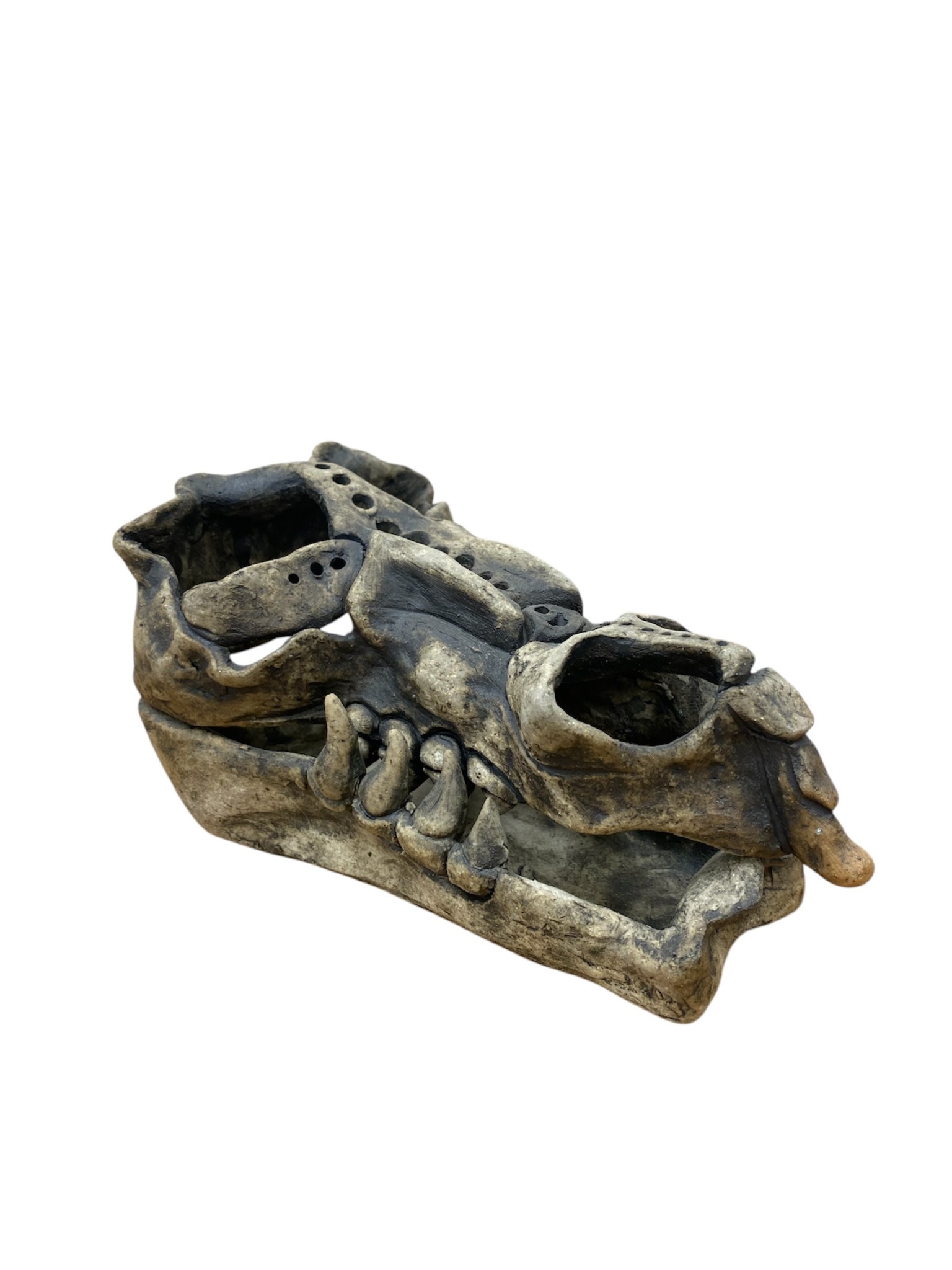 Dana Burlingame Dragon Skull