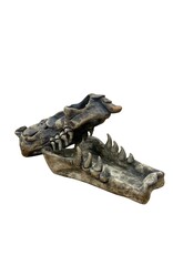 Dana Burlingame Dragon Skull