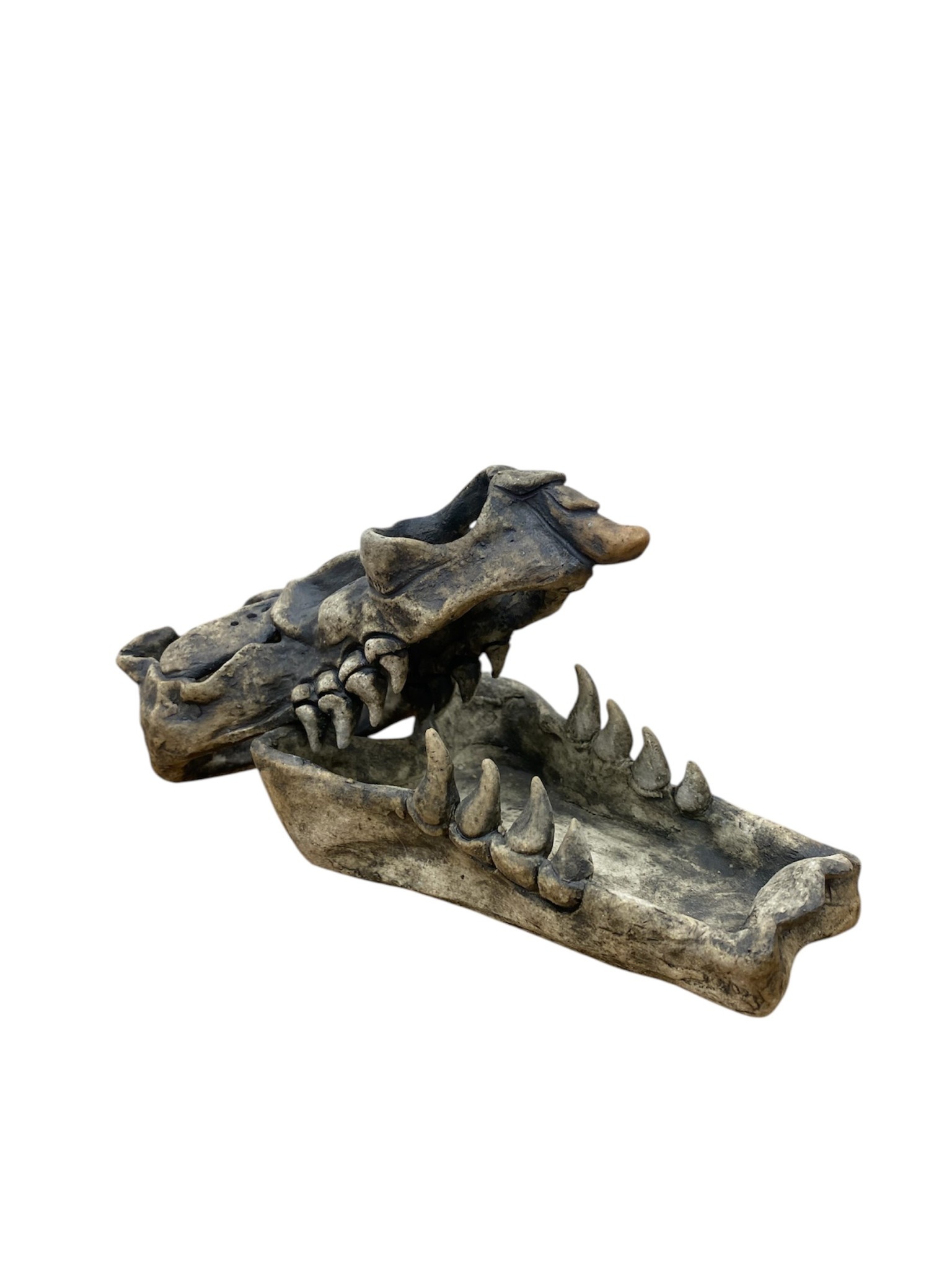Dana Burlingame Dragon Skull