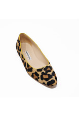 VANESSA NOEL BRIGITTE LEOPARD