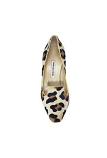 VANESSA NOEL HARPER  LEOPARD