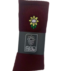 CLOUDFLOWER CLOUDFLOWER CREW SOCK - BURGUNDY