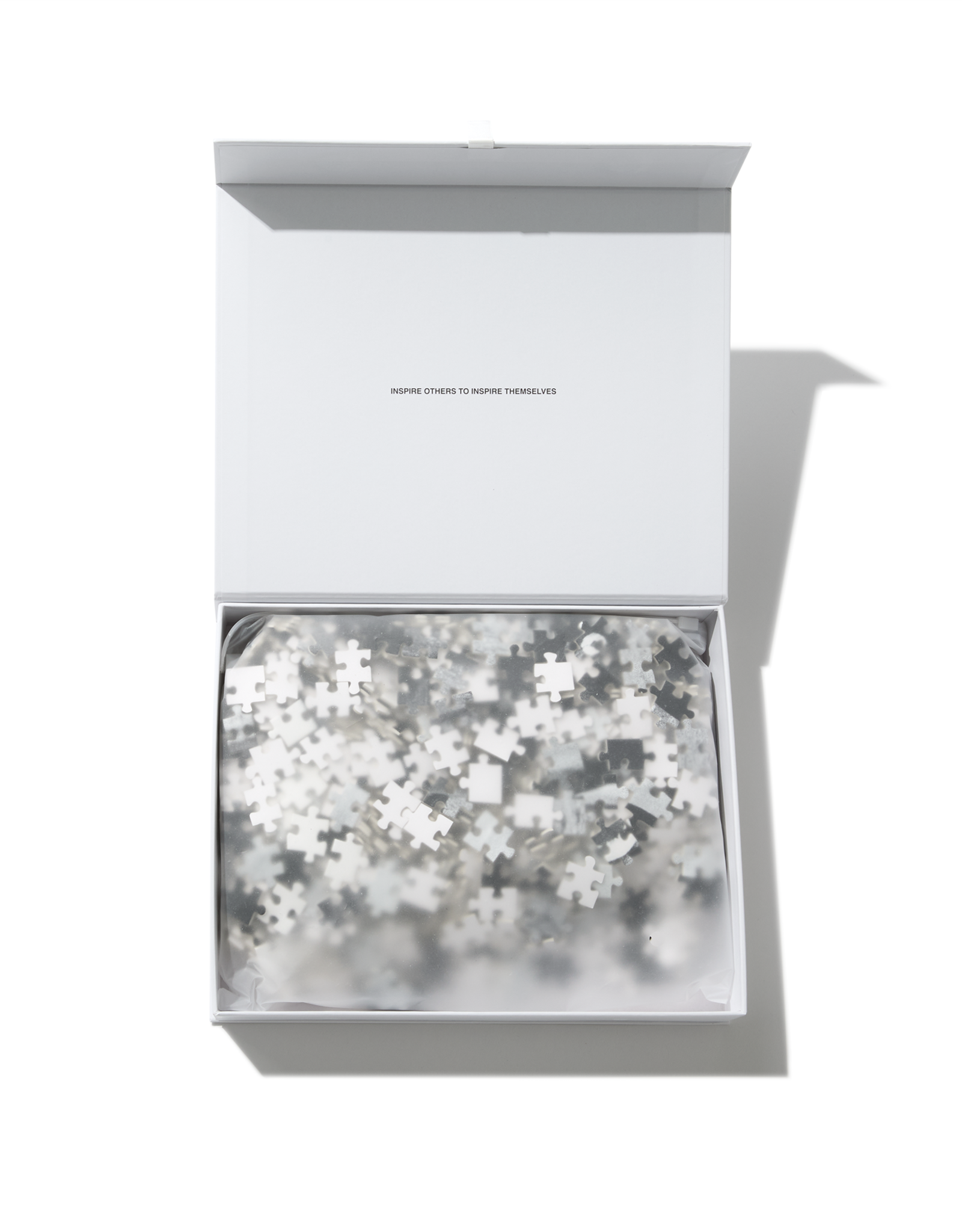 POLAR PUZZLE N.01 - MULTI