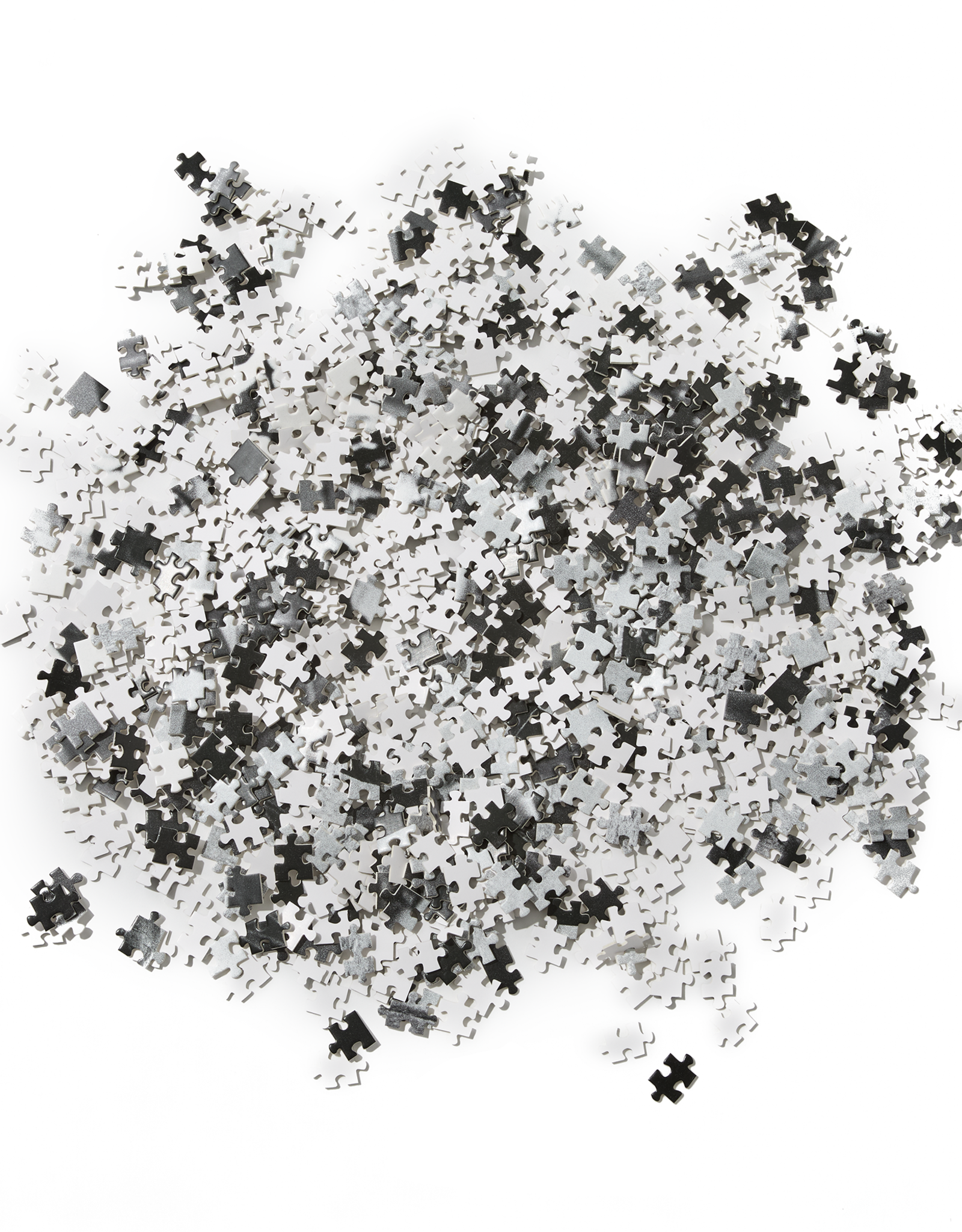 POLAR PUZZLE N.01 - MULTI