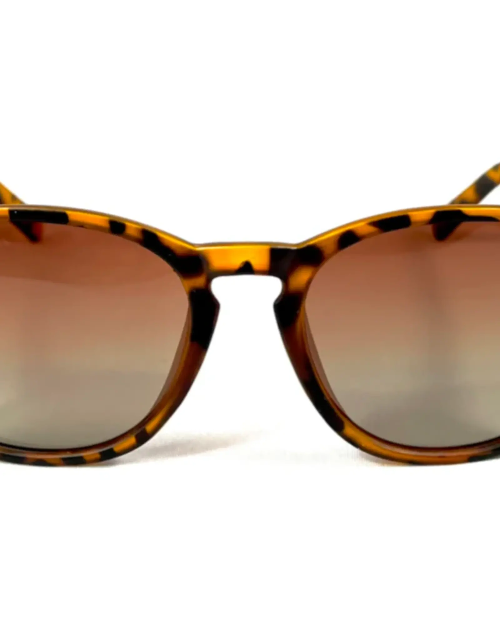 HAPPY HOUR SHADES FLAP JACK POLARIZED - FROSTED TORT