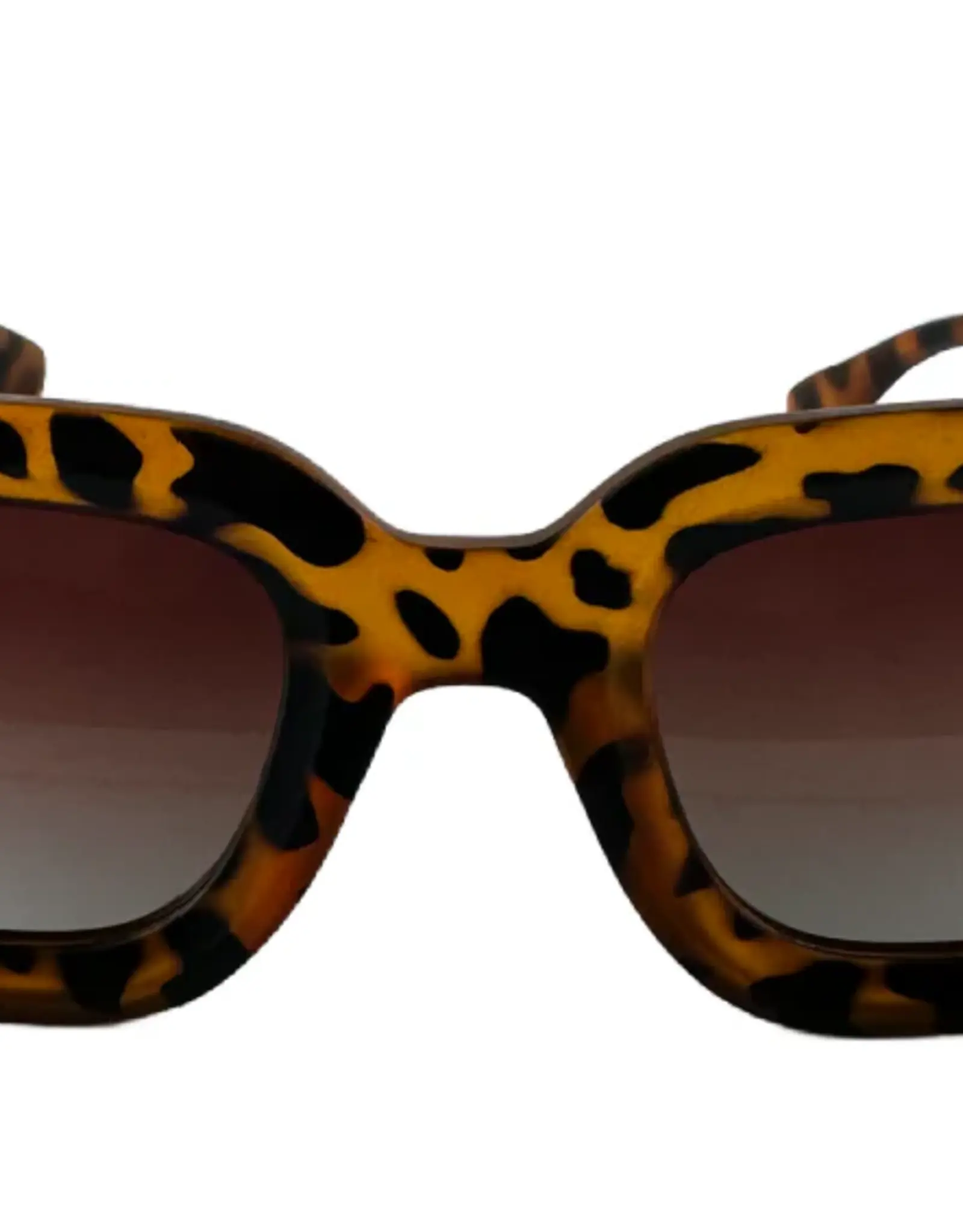 Happy Hour Shades Camden Polarized - Montanas