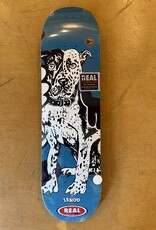 REAL SKATEBOARDS Verdy Ishod Skate Shop Day 2026 Exclusive Deck - 8.25