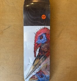 GX1000 Birds Team Deck - 8.375