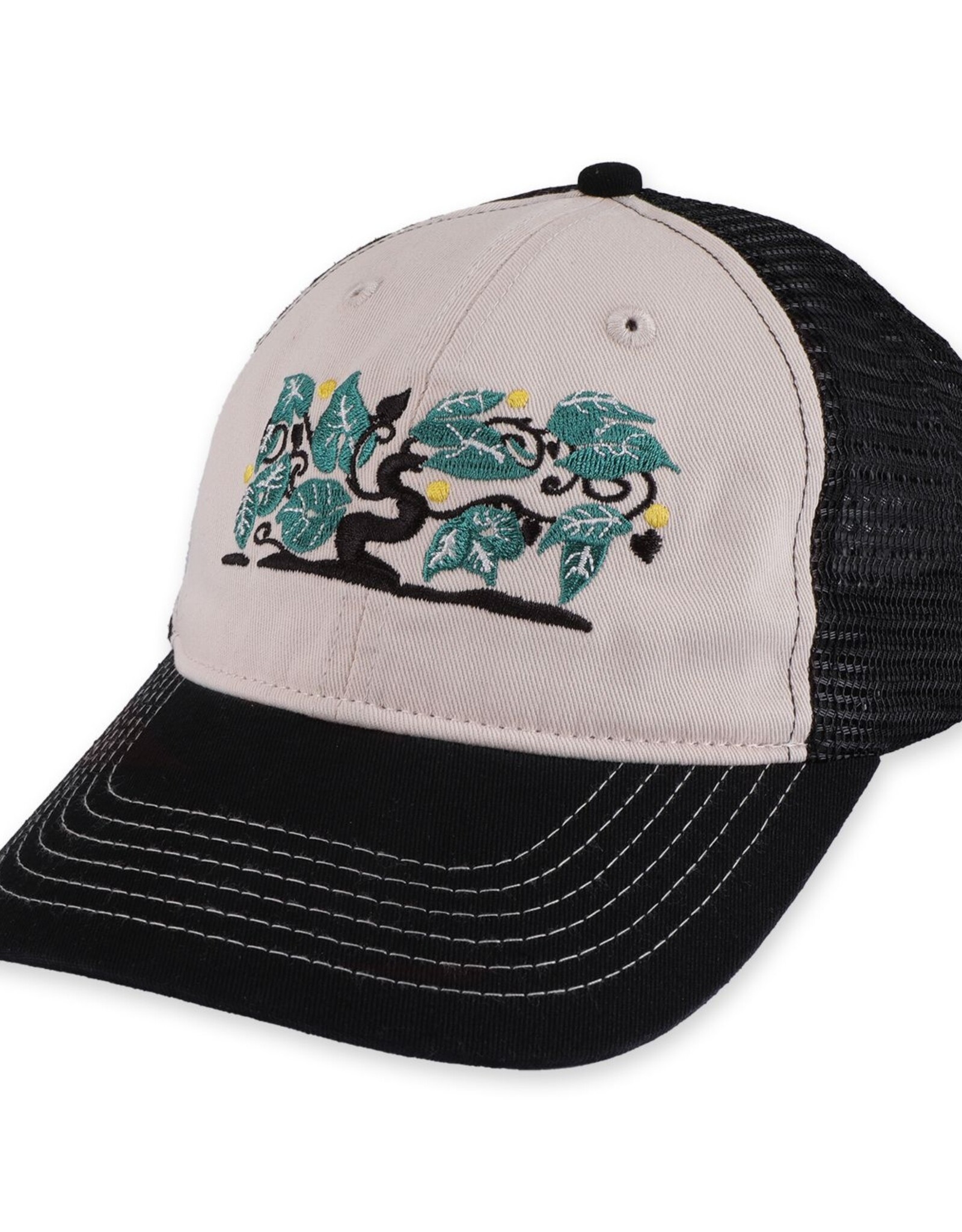 PASSPORT Orchard Leagues Trucker Hat - Black / Off White