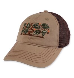 PASSPORT Orchard Leagues Trucker Hat - Sand