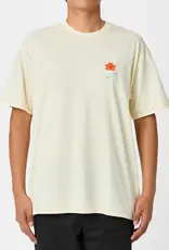 NIKE SB Skate T-Shirt - Coconut Milk