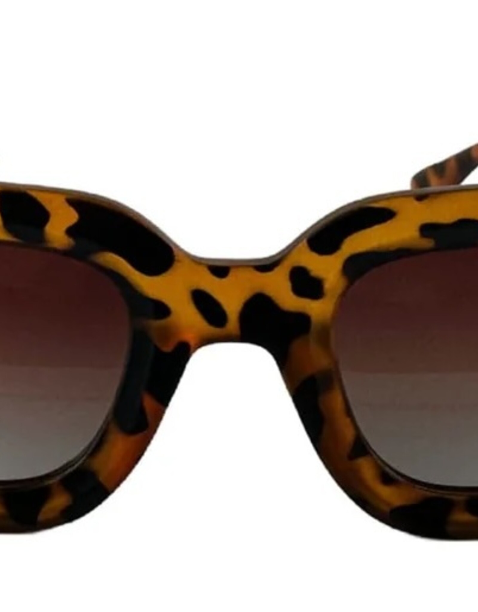 HAPPY HOUR SHADES CAMDEN POLARIZED - FROSTED TORT