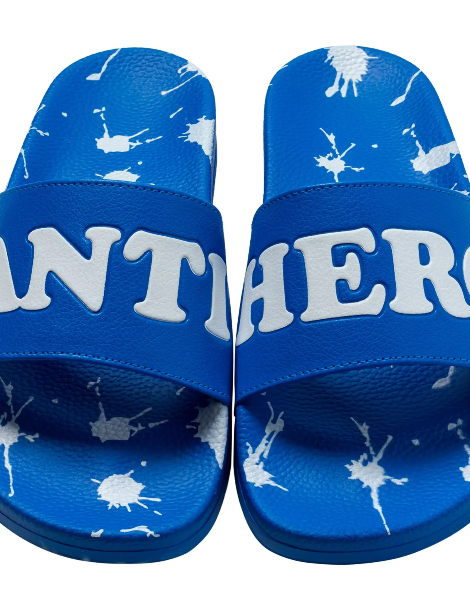 ANTI HERO AH Damn You Slides - Blue