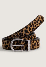 VANS Furry Belt Autumn Brown - 32"