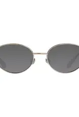 Cassette Optics Harmony Polarized - Silver / Smoke Lens