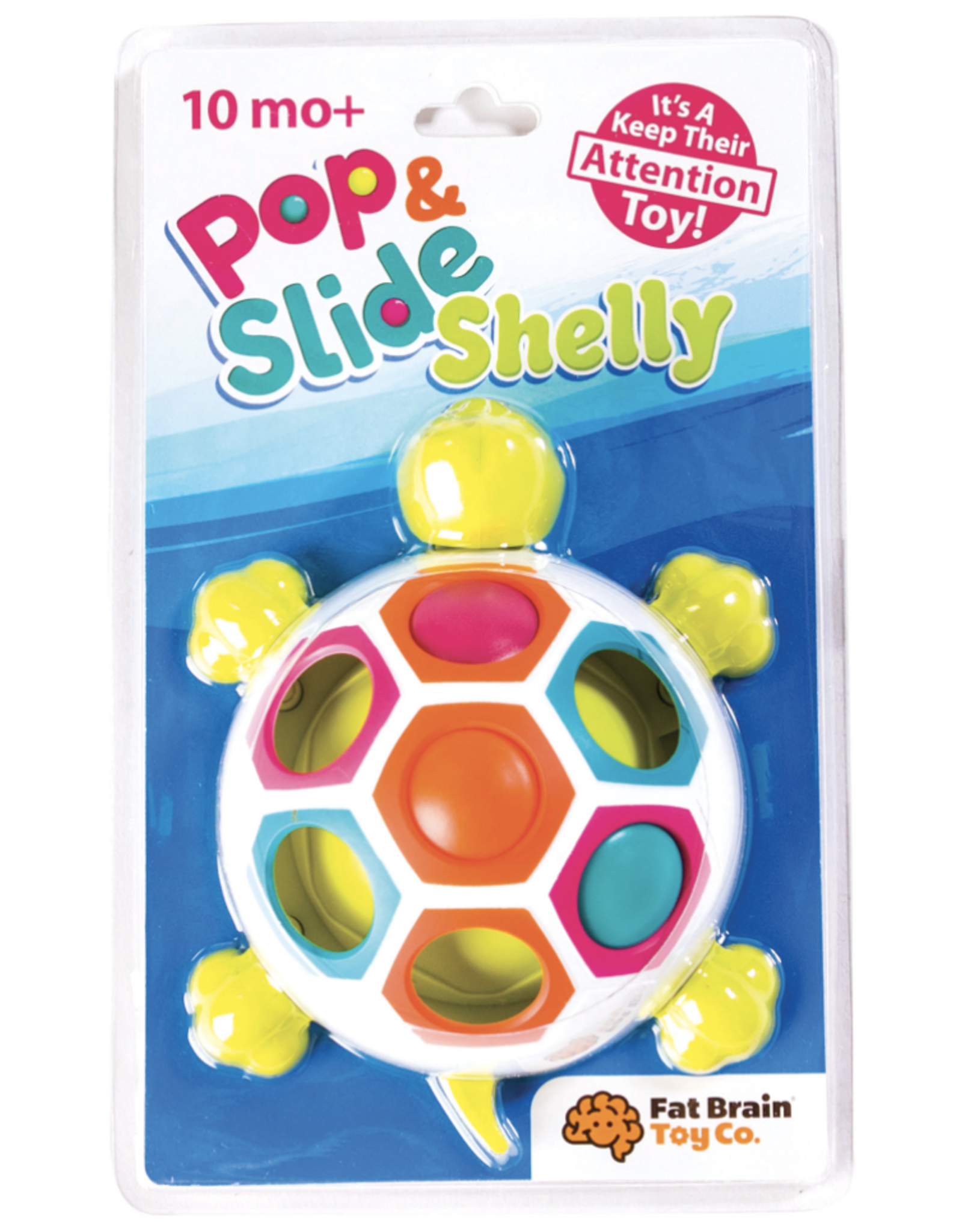 Fat Brain Pop and Slide Shelly