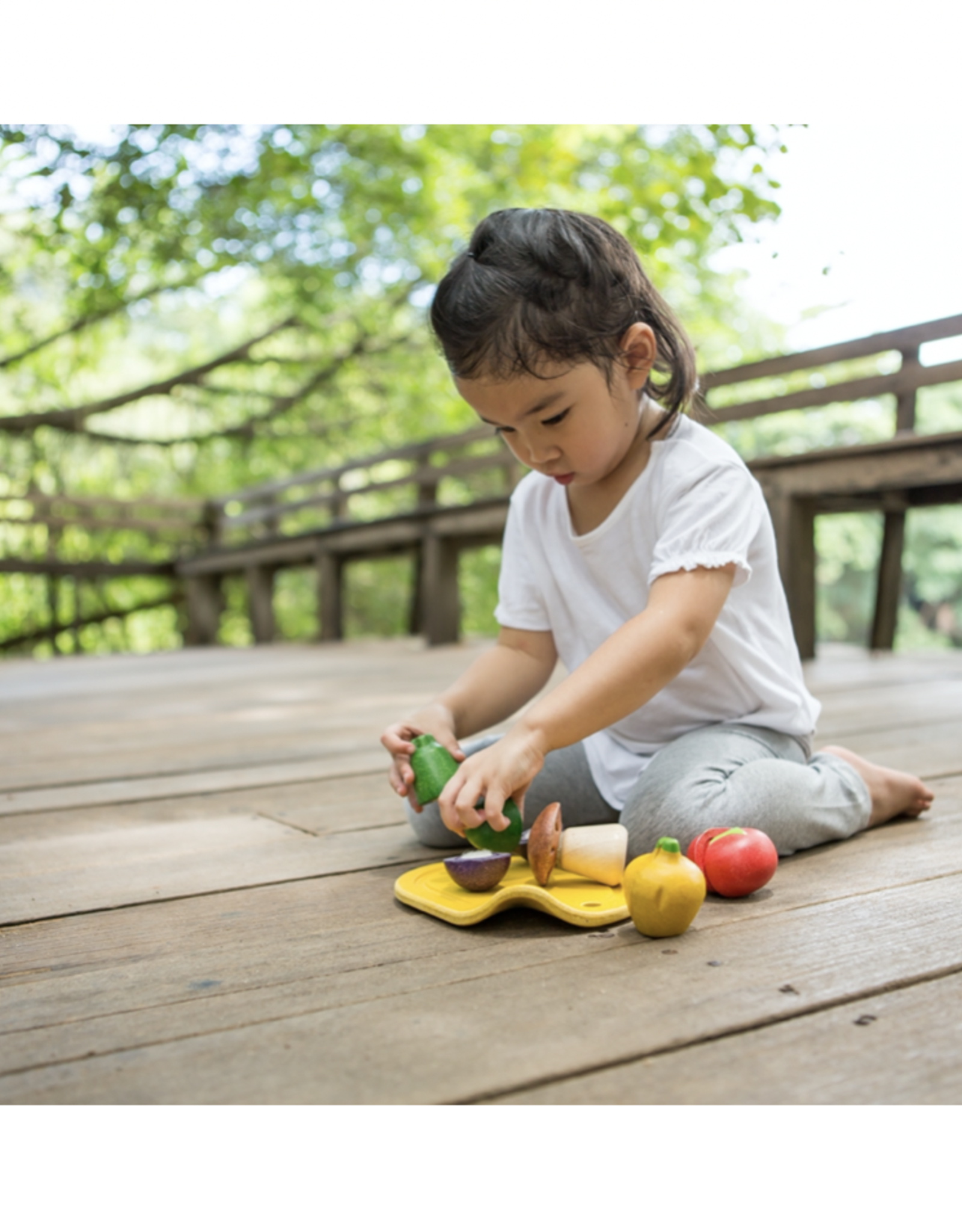 plan toys vegetable set