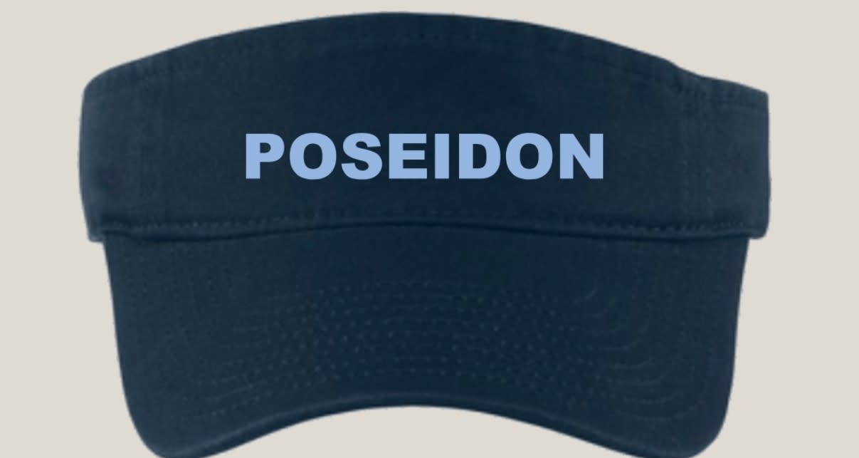 Port Authority Poseidon Visor