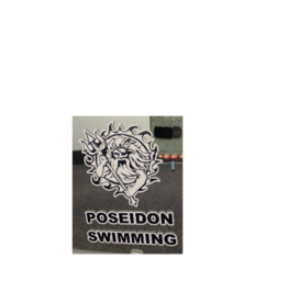 Poseidon Window Decals