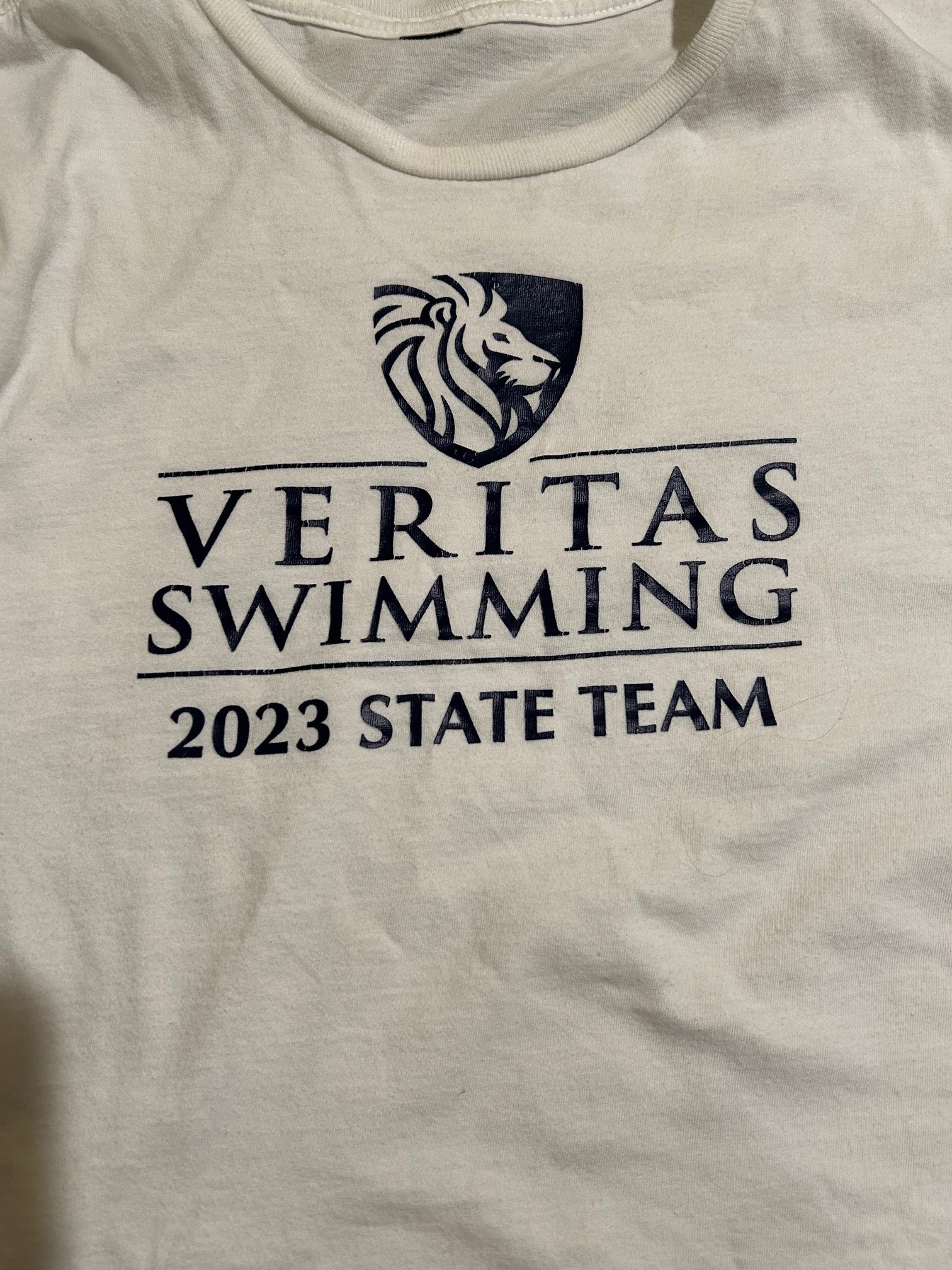 Veritas School Champs T-Shirt