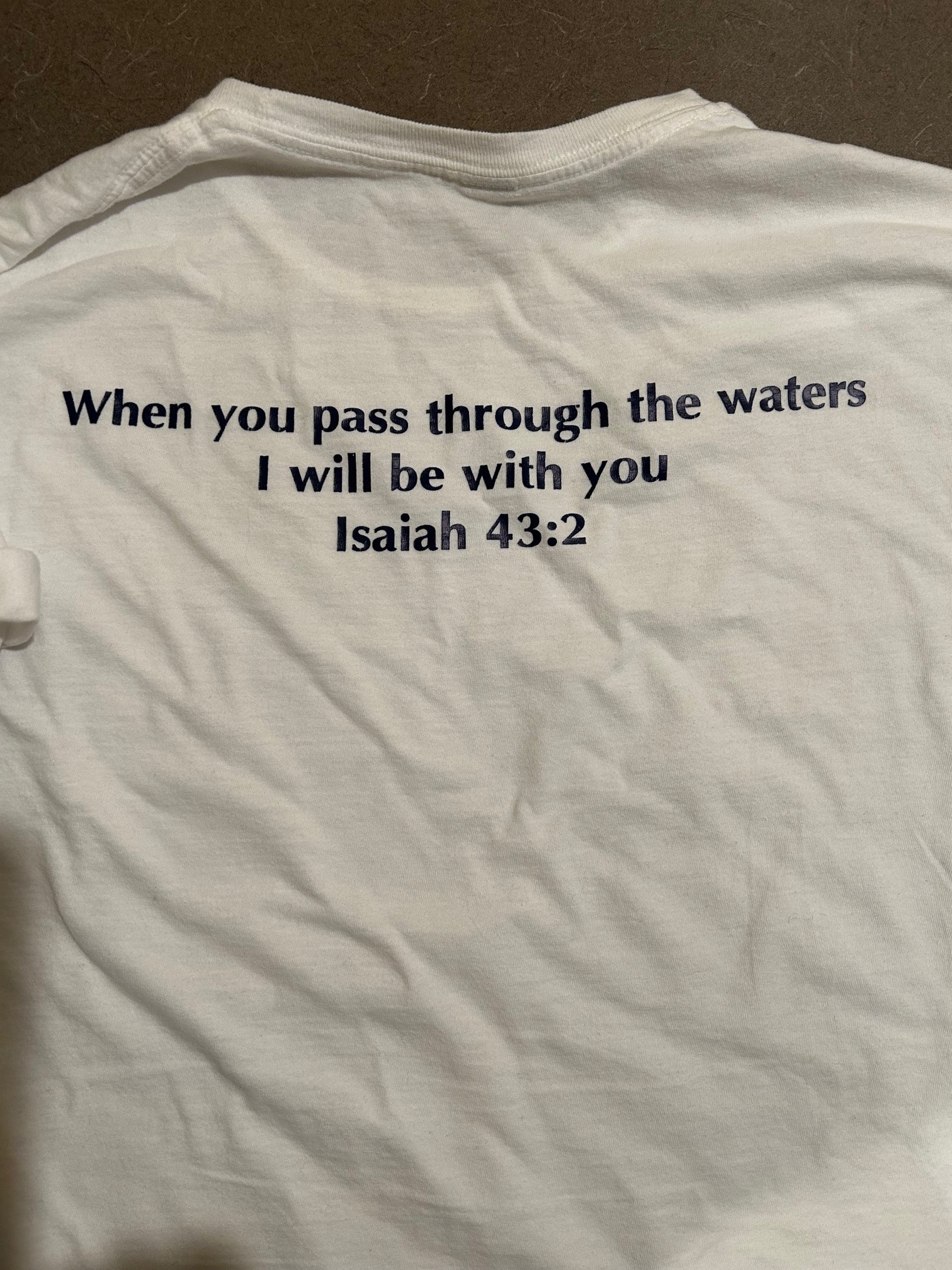 Veritas School Champs T-Shirt