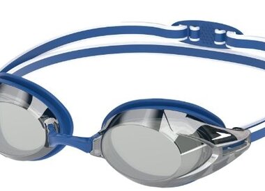Adult Speedo Goggles