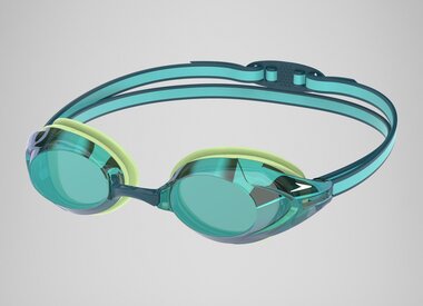 Speedo Goggles