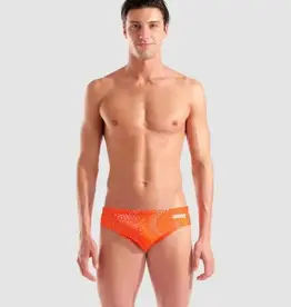 Arena Fireflow Brief