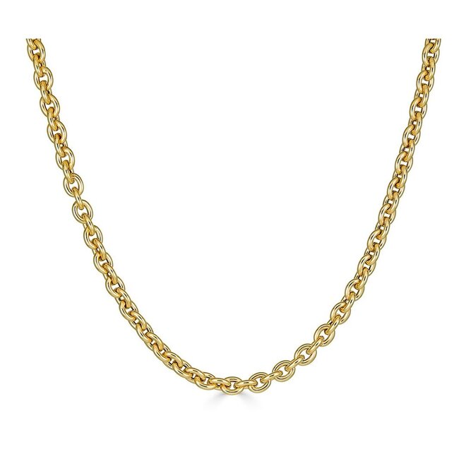 Chunky rolo link necklace