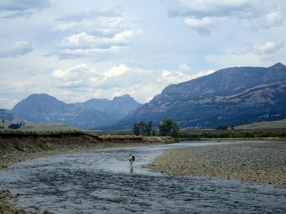 Yellowstone Park Fly Fishing