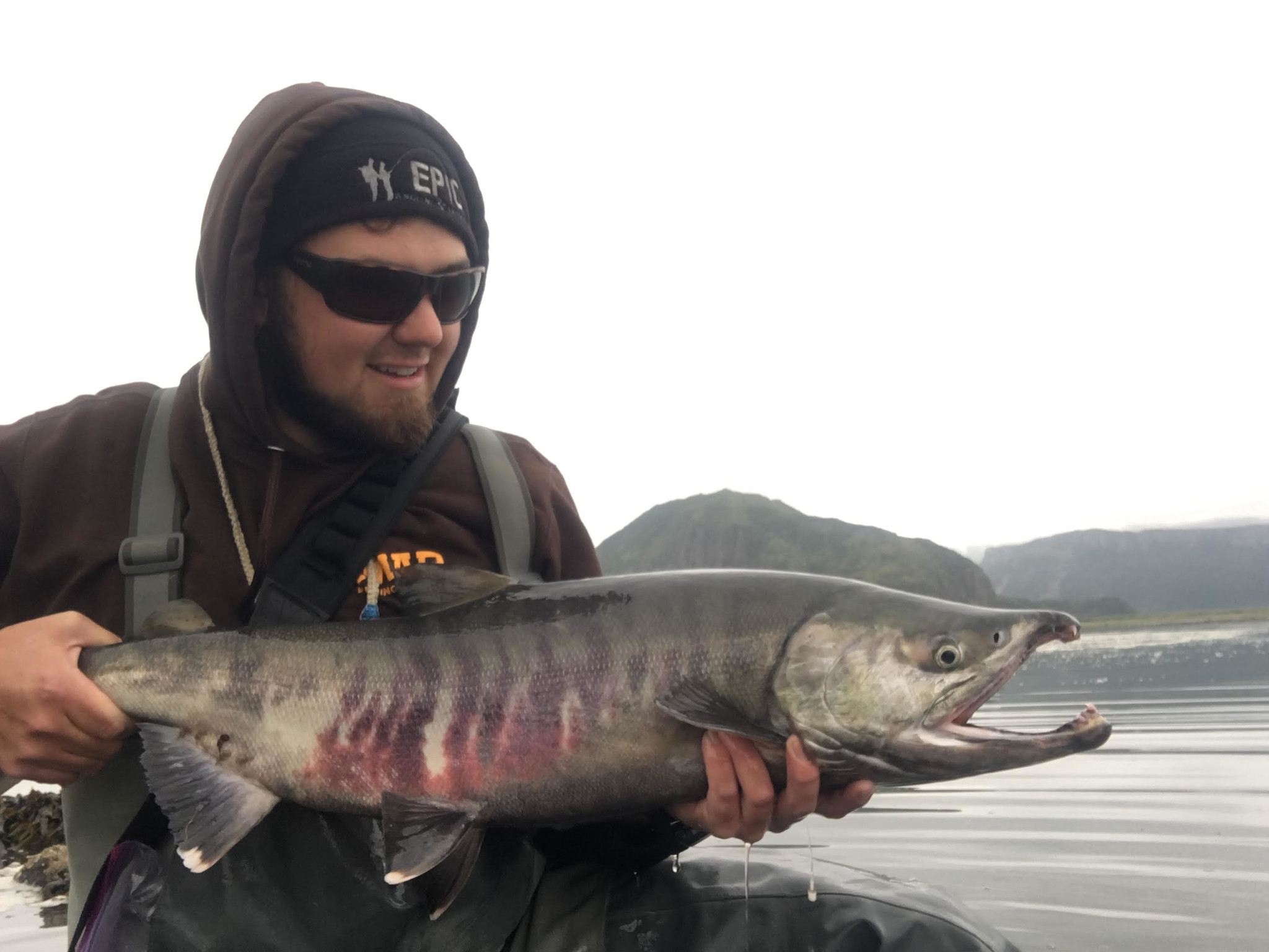 Don Salmon