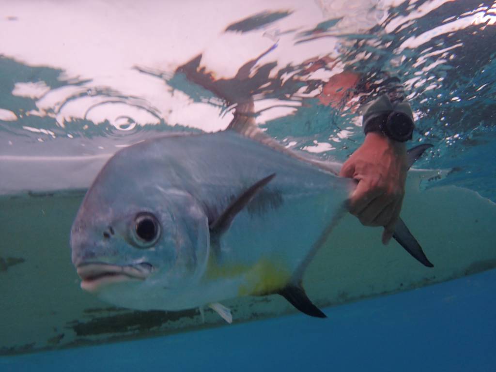 The Eddy Line: Winter fly fishing and angling travel