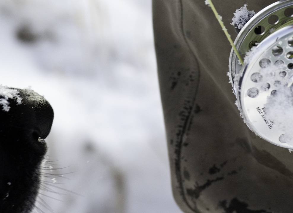 Seven Best Fly Patterns for Early Spring Fly Fishing Near Big Sky, Montana