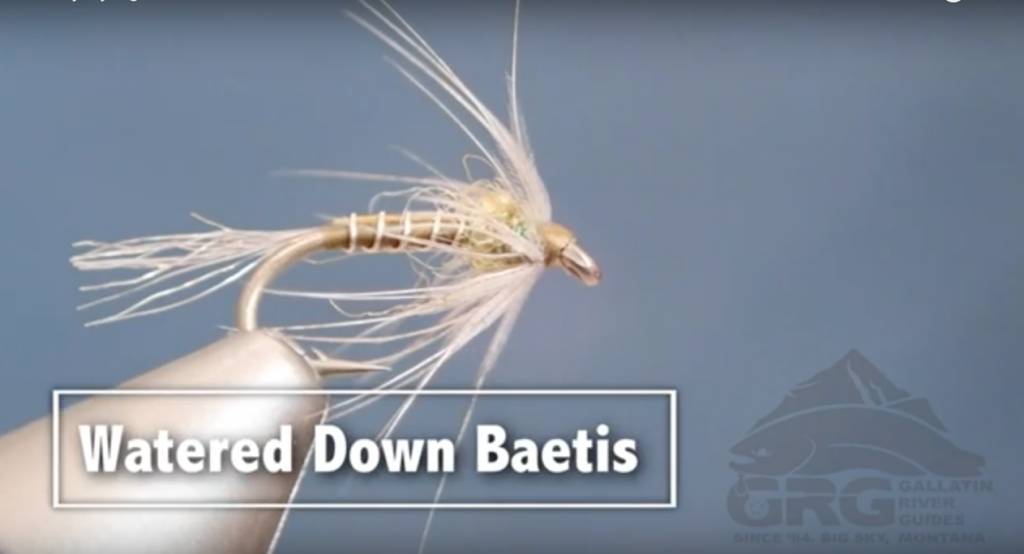 GRG Fly Tying - Watered Down Baetis