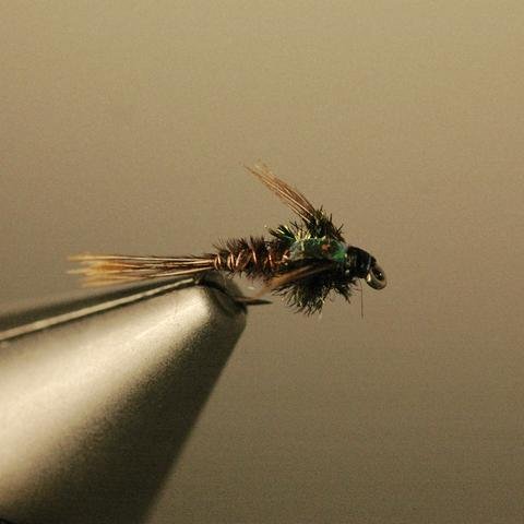 Thursday Night Fly Tying: Flashback Pheasant Tail and Para Wulff Adams