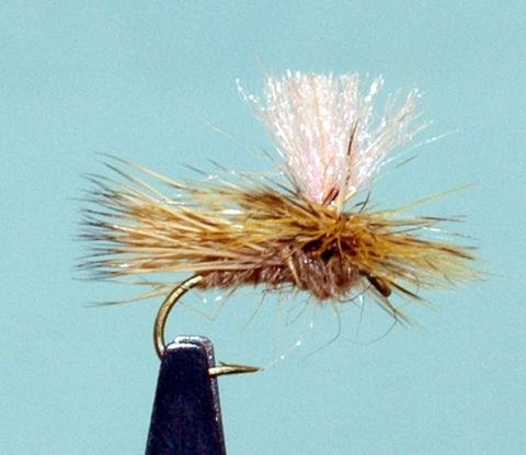 Thursday Night Fly Tying Night...Bloom's Parachute Caddis by Dave Bloom