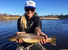 Happy New Year Fly Fishing Newsletter